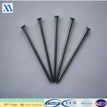 Manufacturer of Polished Common Nails (XA-CN3)